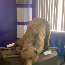 Talnakh Museum - Noril'sk