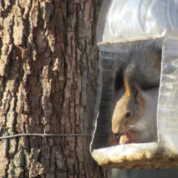 Central Park of Culture and Leisure - Novomoskovsk