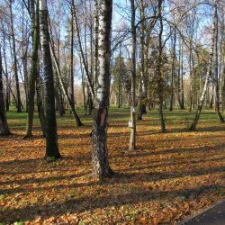 Central Park of Culture and Leisure - Novomoskovsk
