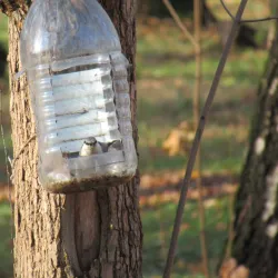 Central Park of Culture and Leisure - Novomoskovsk