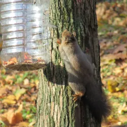 Central Park of Culture and Leisure - Novomoskovsk