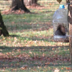 Central Park of Culture and Leisure - Novomoskovsk