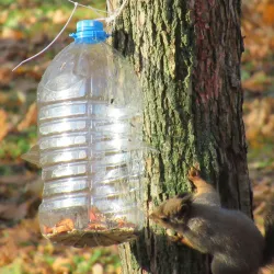 Central Park of Culture and Leisure - Novomoskovsk