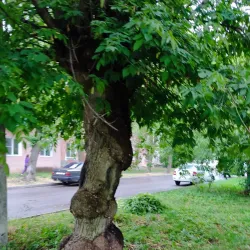 Lake Shchekino - Novomoskovsk