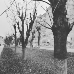 Lake Shchekino - Novomoskovsk