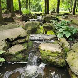Novomoskovsk Botanical Garden - Novomoskovsk
