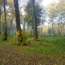 Victory Park - Novomoskovsk