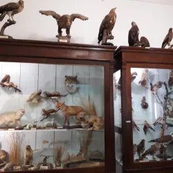 Novoshakhtinsk Mining Museum - Novoshakhtinsk