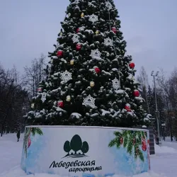 Central Park of Culture and Recreation - Novosibirsk