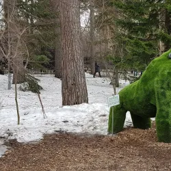 Novosibirsk Zoo - Novosibirsk