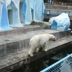 Novosibirsk Zoo - Novosibirsk