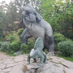 Novosibirsk Zoo - Novosibirsk