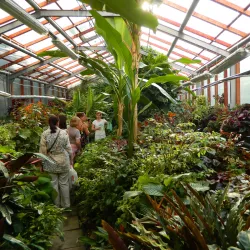 Novouralsk Botanical Garden - Novouralsk