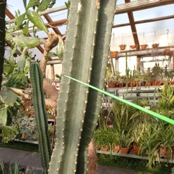 Novouralsk Botanical Garden - Novouralsk