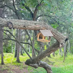 Novouralsk Botanical Garden - Novouralsk