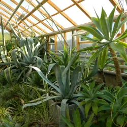 Novouralsk Botanical Garden - Novouralsk