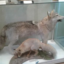 Novouralsk Local History Museum - Novouralsk