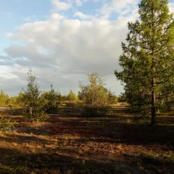 Novy Urengoy City Park - Novy Urengoy (New Urengoy)