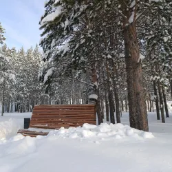 Noyabrsk Botanical Garden - Noyabrsk