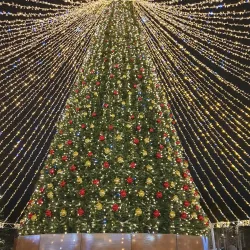 Noyabrsk Botanical Garden - Noyabrsk