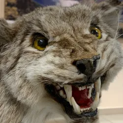 Noyabrsk City Cultural Center - Noyabrsk