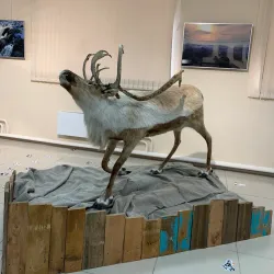 Noyabrsk Museum of Local Lore - Noyabrsk