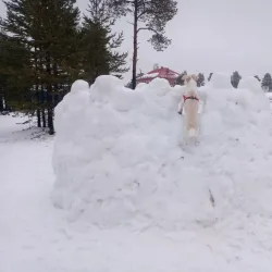 Skiing and Winter Sports Complex - Noyabrsk