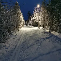 Skiing and Winter Sports Complex - Noyabrsk