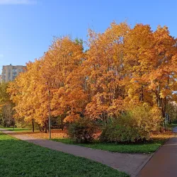 Park of the 50th Anniversary of Victory - Odintsovo