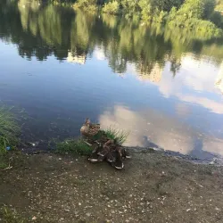 Serebryanka River Embankment - Odintsovo