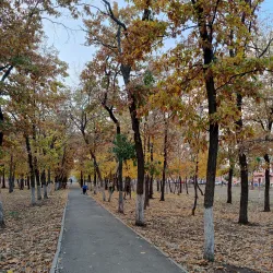 Victory Park - Orenburg