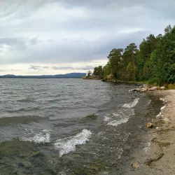 Forest Recreation Area - Ozyorsk