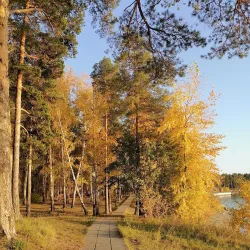 Forest Recreation Area - Ozyorsk