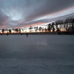 Forest Recreation Area - Ozyorsk