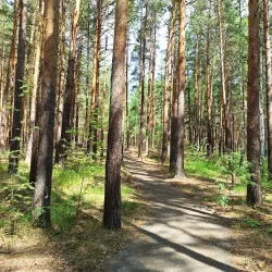 Forest Recreation Area - Ozyorsk