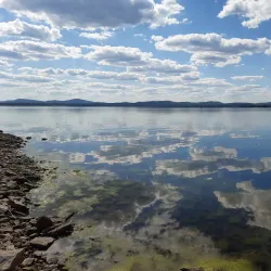 Forest Recreation Area - Ozyorsk