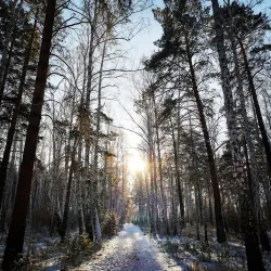 Forest Recreation Area - Ozyorsk