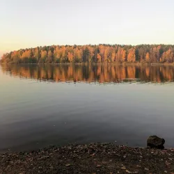 Forest Recreation Area - Ozyorsk