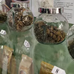 Ozyorsk Local History Museum - Ozyorsk