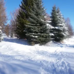 Victory Park - Ozyorsk