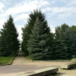 Victory Park - Ozyorsk