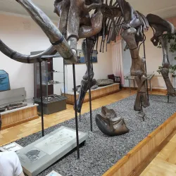 Penza Regional Museum of Local Lore - Penza