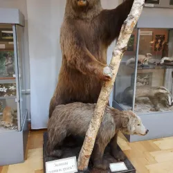 Penza Regional Museum of Local Lore - Penza