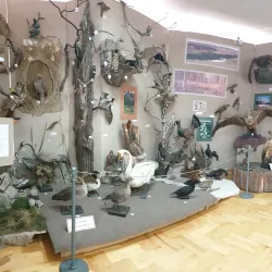 Penza Regional Museum of Local Lore - Penza