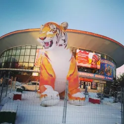 Perm State Circus - Perm