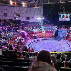 Perm State Circus - Perm