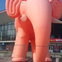 Perm State Circus - Perm