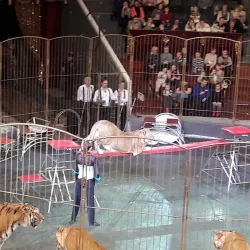 Perm State Circus - Perm