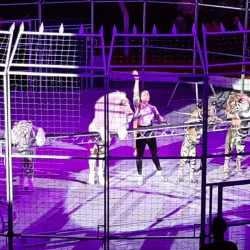 Perm State Circus - Perm