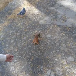 Monument to the Founders of Pervouralsk - Pervouralsk